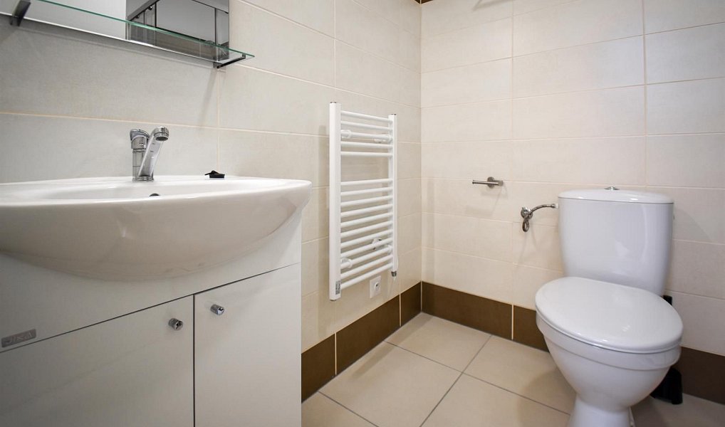 Pronájem bytu 2+1 31 m², Brno – náhled fotky 13