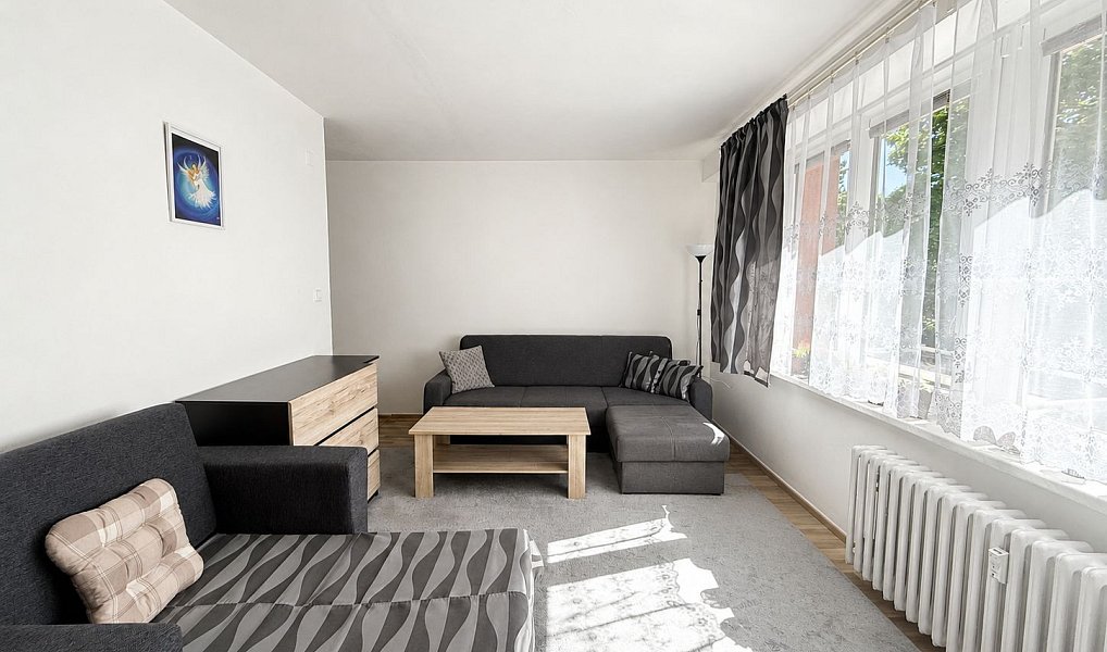 Prodej bytu 1+kk 29 m², Orlová – náhled fotky 2