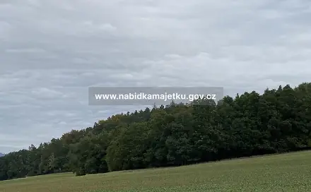 Prodej lesa 507 m², Sudkov, okres Šumperk