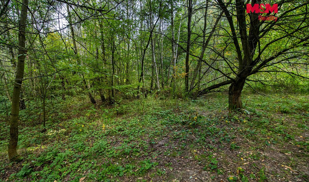 Prodej pole 51 974 m², Blíževedly – náhled fotky 4