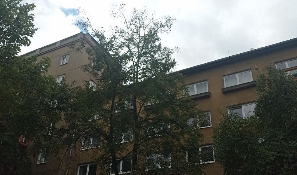 Prodej bytu 2+1 66 m², Most – náhled fotky 4
