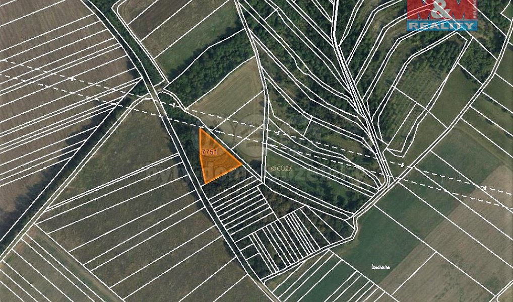 Prodej lesa 2 314 m², Lipov – náhled fotky 4