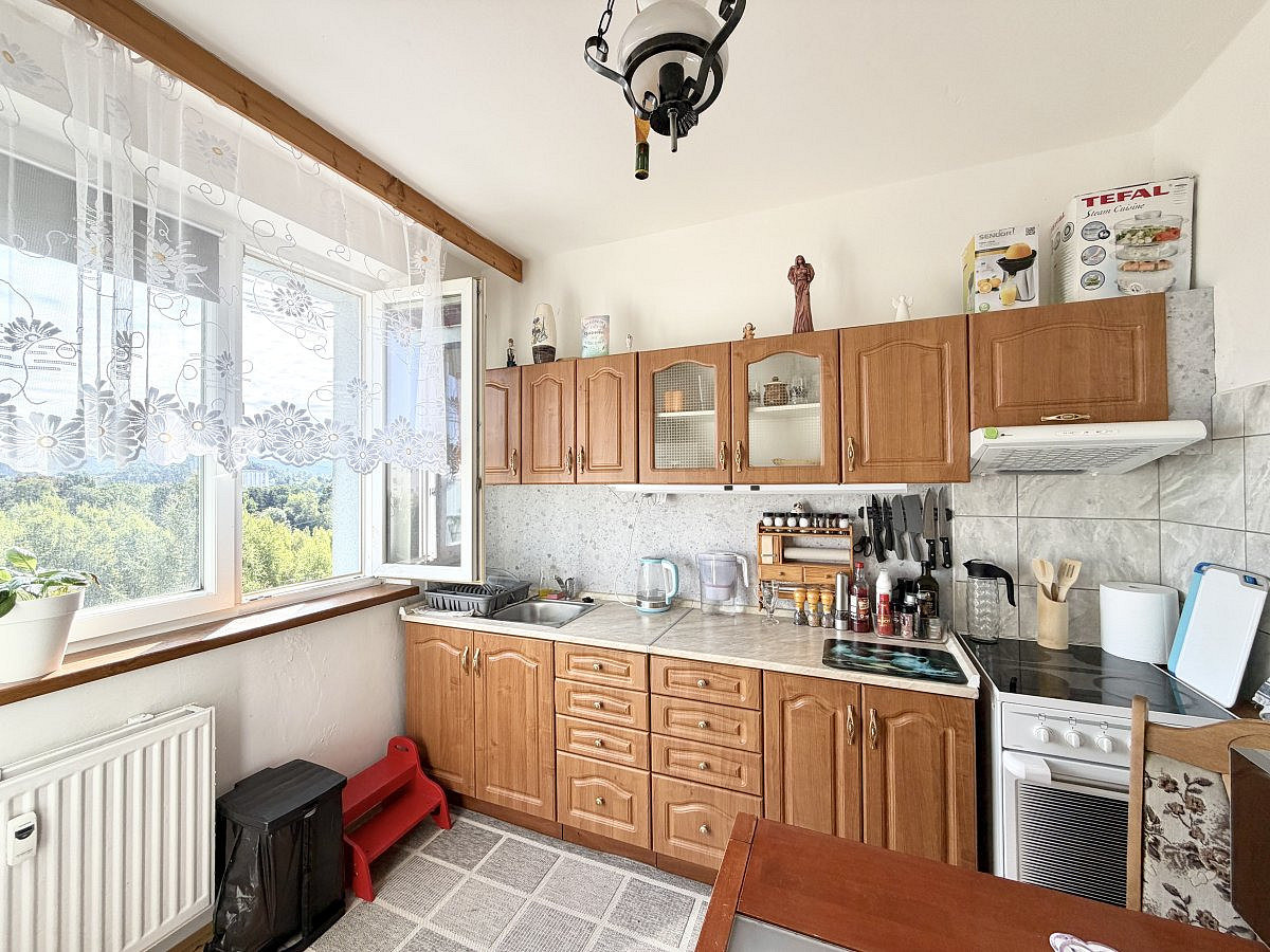 Pronájem bytu 1+1 40 m²