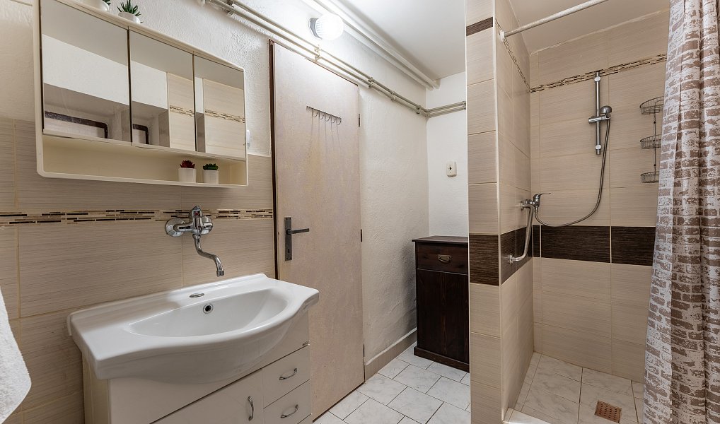 Prodej domu 200 m² s pozemkem 1 330 m², Kubšice – náhled fotky 29