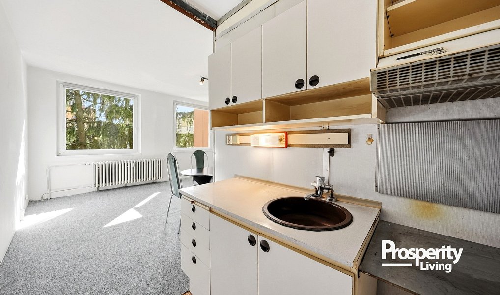 Prodej bytu 1+kk 30 m², Teplice – náhled fotky 9