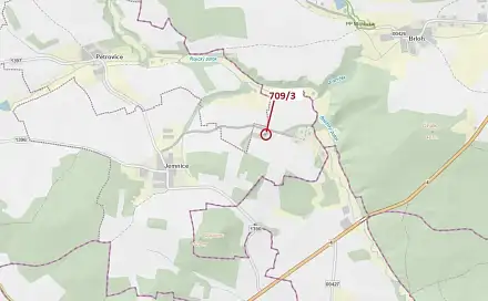 Dražba lesa 301 m², Osek