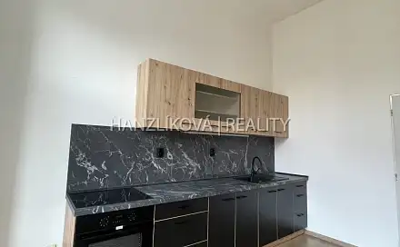 Pronájem bytu 1+1 49 m²