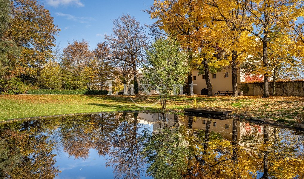 Prodej domu 1 585 m² s pozemkem 6 505 m², Trnová – náhled fotky 27
