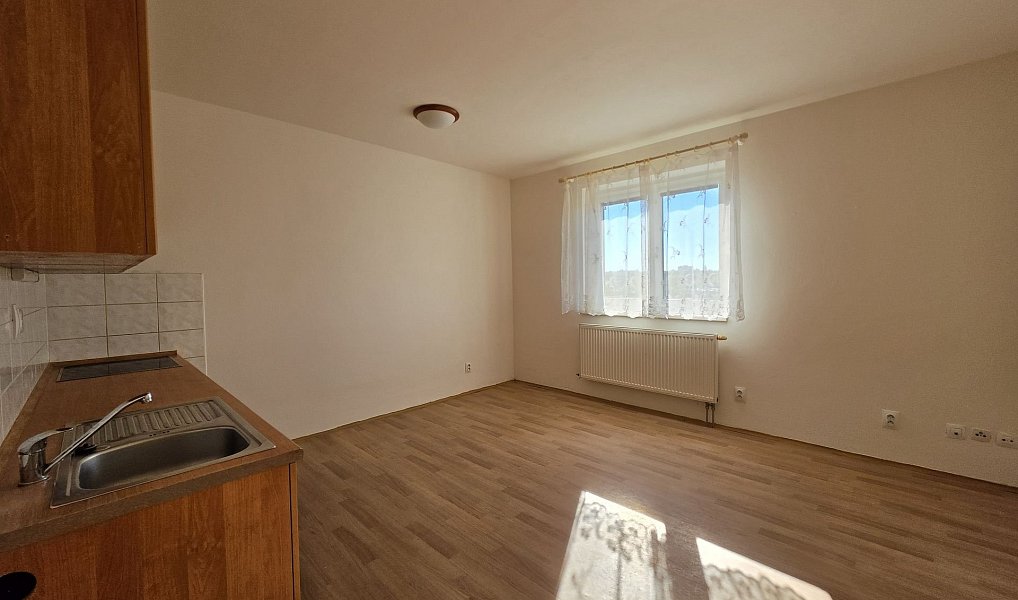 Pronájem bytu 2+kk 42 m², Plzeň – náhled fotky 5