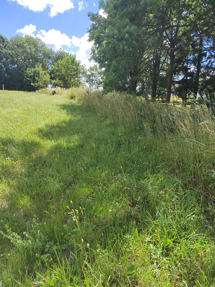 Prodej stavebního pozemku 1 350 m² – fotografie 4
