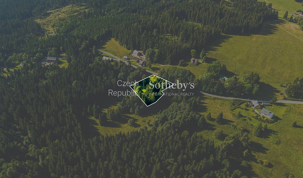 Prodej stavebního pozemku 2 976 m², Janov nad Nisou – náhled fotky 3