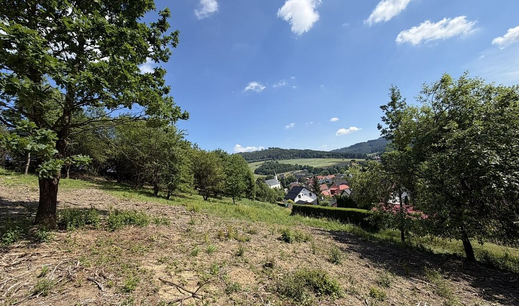 Prodej stavebního pozemku 1 781 m², Hošťálková – náhled fotky 6