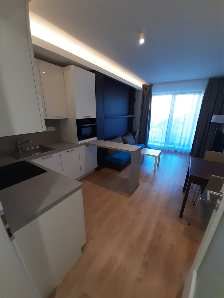 Pronájem bytu 1+kk 30 m² — photo 3