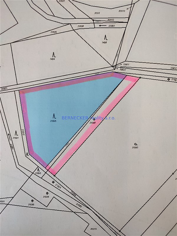 Prodej lesa 5 127 m² — photo 2