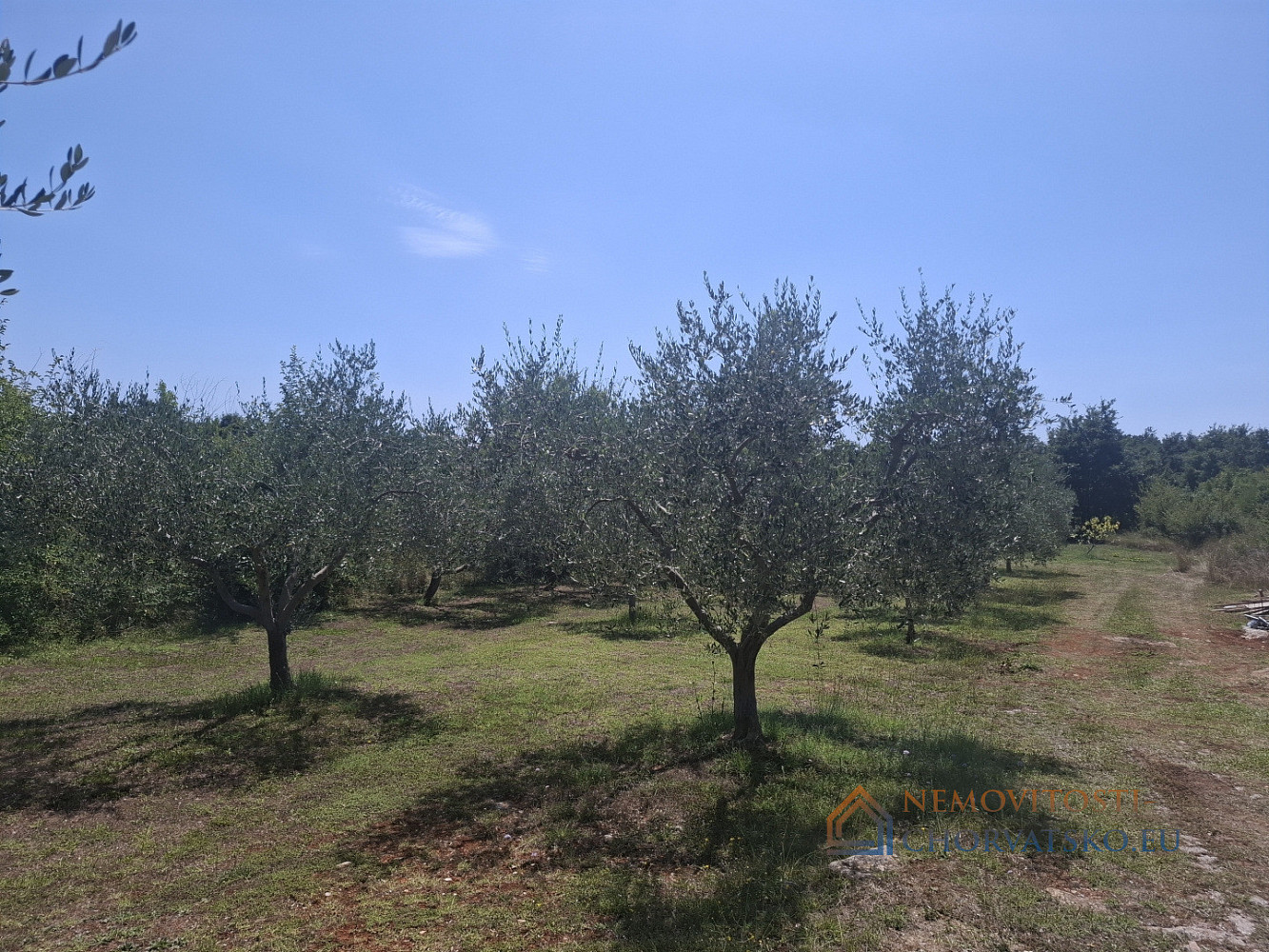 Prodej stavebního pozemku 686 m² - Widok 2
