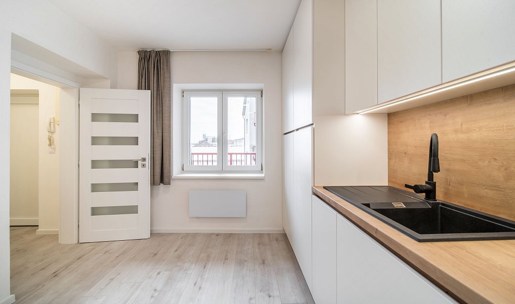 Prodej bytu 1+1 50 m², Brno – náhled fotky 3