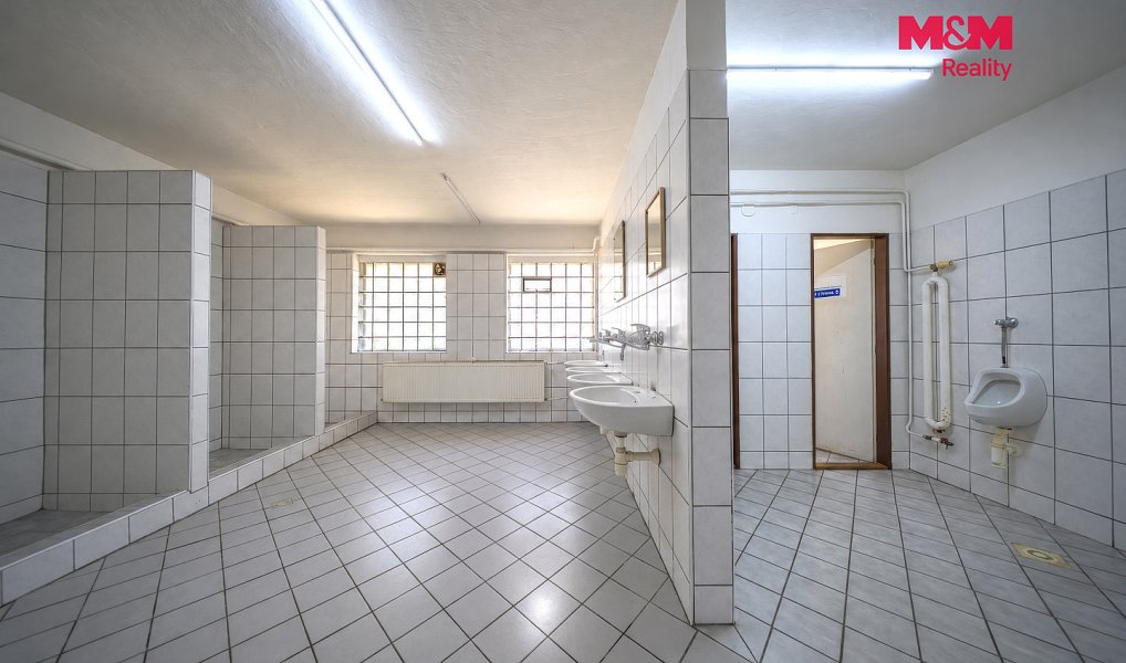 Prodej obchodních prostor 483 m², Ostrava – náhled fotky 23