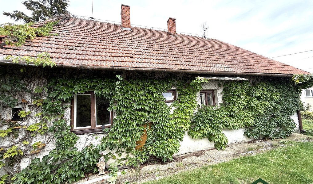 Prodej domu 93 m² s pozemkem 444 m², Ruprechtov – náhled fotky 13