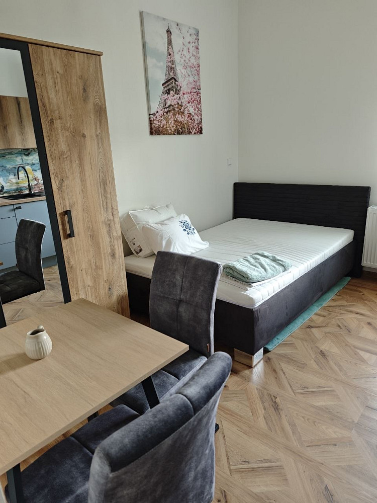 Pronájem bytu 1+kk 25 m² — photo 4