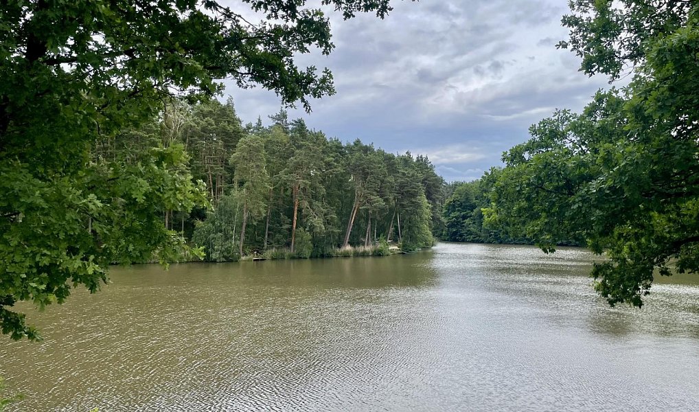 Prodej stavebního pozemku 3 756 m², Jindřichův Hradec – náhled fotky 7