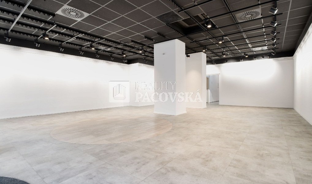 Pronájem obchodních prostor 210 m², Ústí nad Labem – náhled fotky 5