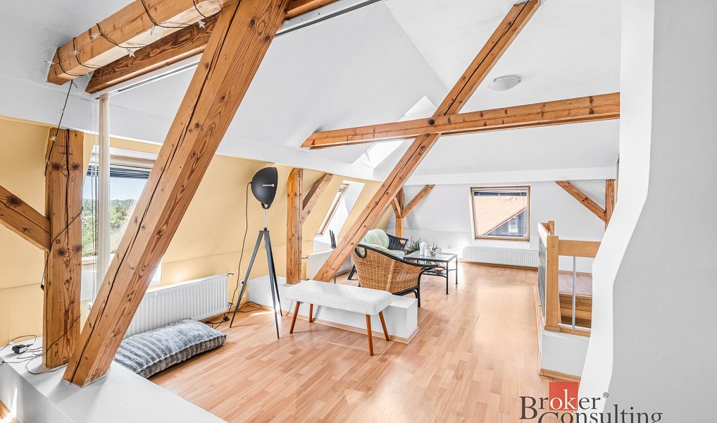 Prodej domu 250 m² s pozemkem 574 m², Plzeň – náhled fotky 19