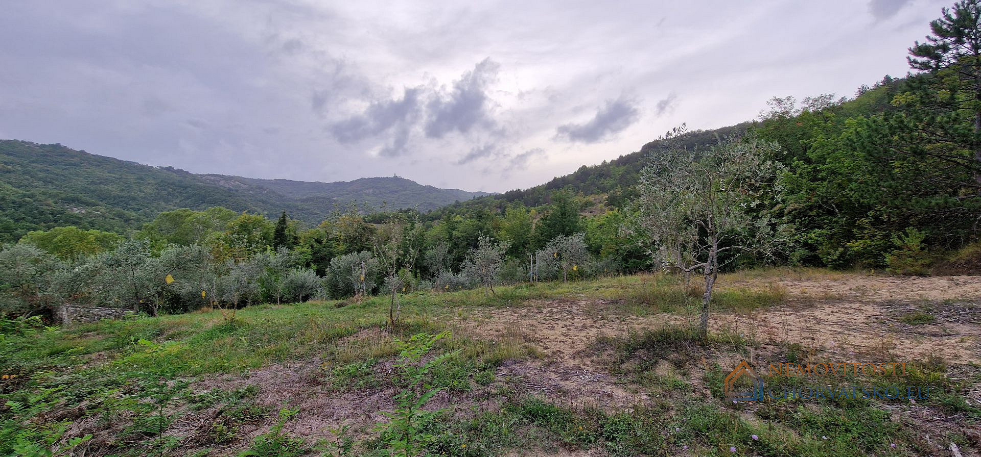 Prodej stavebního pozemku 9 054 m² - Widok 5