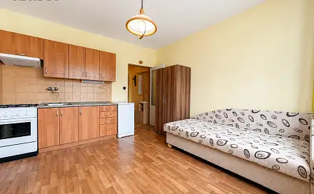 Prodej bytu 1+1 39 m², Sirkařská, Sušice - Sušice II, okres Klatovy