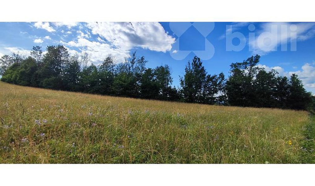 Prodej stavebního pozemku 1 437 m², Dolní Lánov – náhled fotky 5