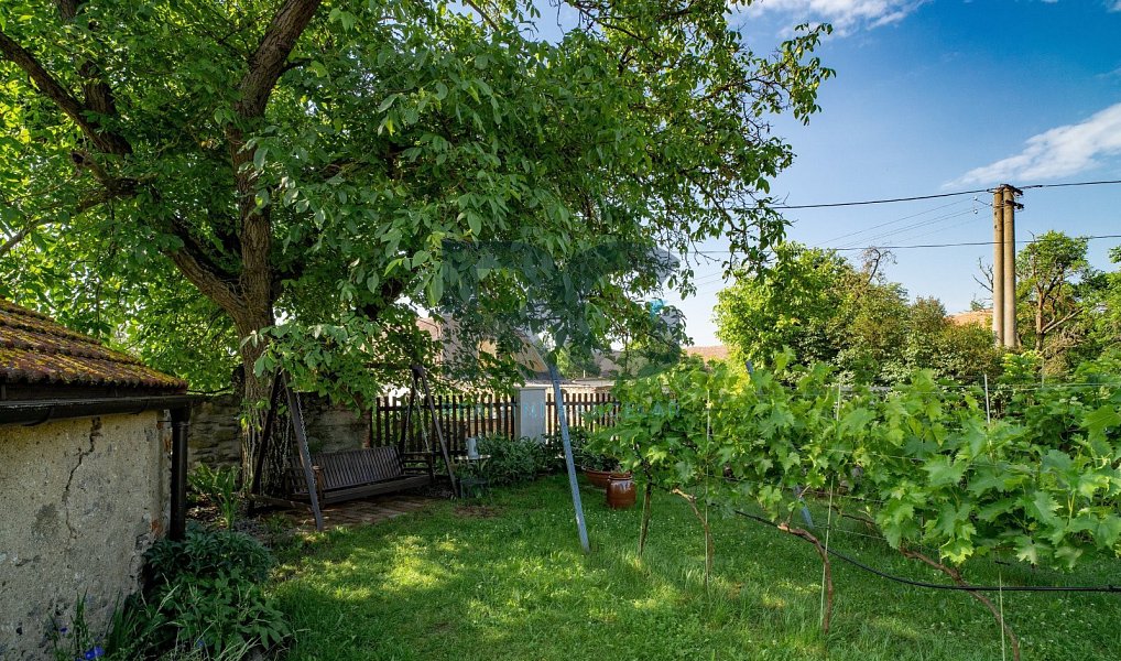 Prodej domu 174 m² s pozemkem 11 512 m², Předotice – náhled fotky 36