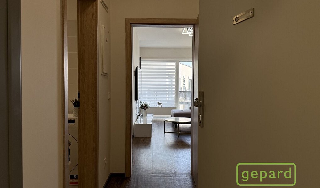 Pronájem bytu 1+1 41 m², Olomouc – náhled fotky 4
