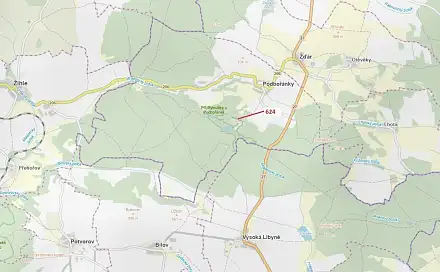 Dražba lesa 2 895 m², Žďár