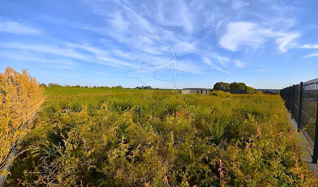 Prodej stavebního pozemku 800 m², Brodce – náhled fotky 6