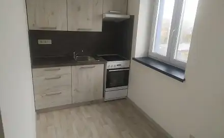 Pronájem bytu 1+1 25 m², Rybářská, Opava - Předměstí