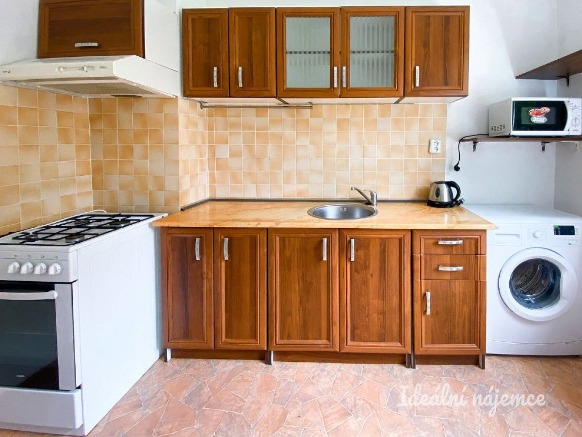 Pronájem bytu 1+1 39 m²