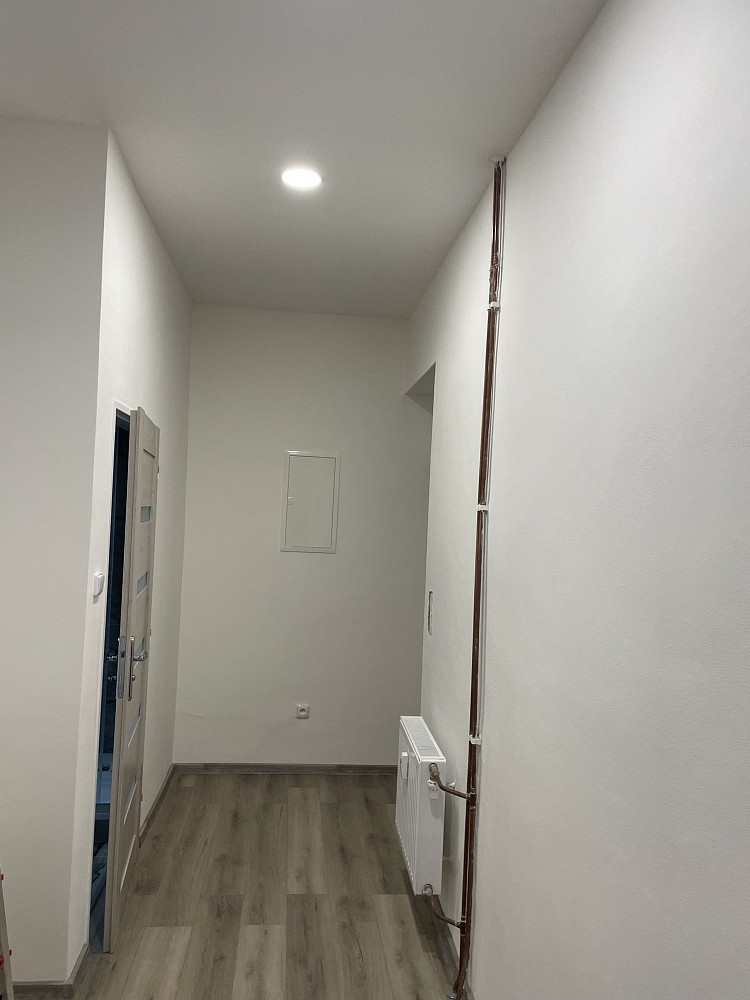 Pronájem bytu 1+1 49 m² – fotografie 4