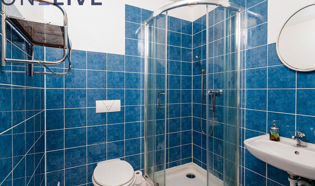 Prodej ubytovacího objektu 480 m², Starý Plzenec – náhled fotky 15