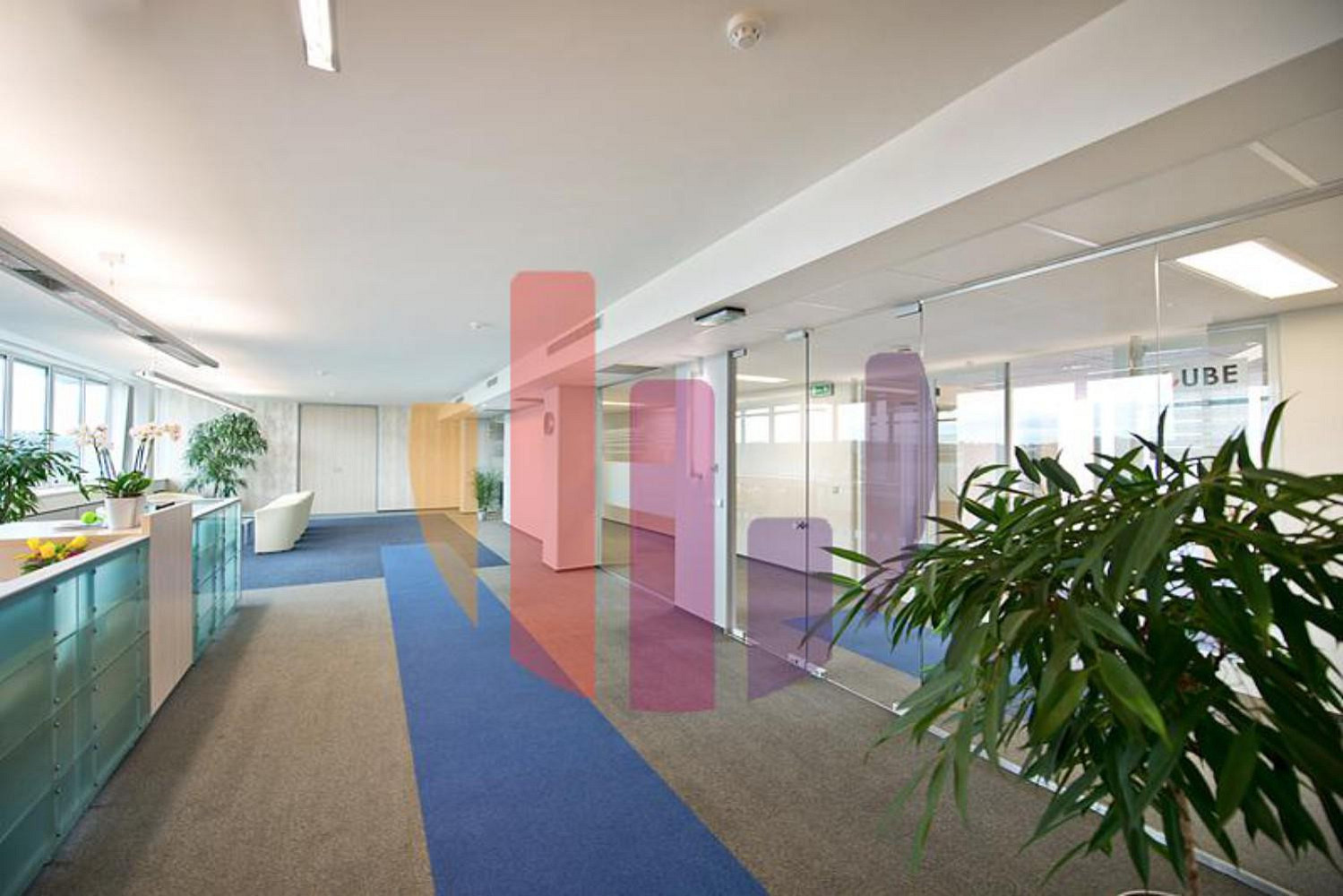 Pronájem kanceláře 277 m² — photo 4