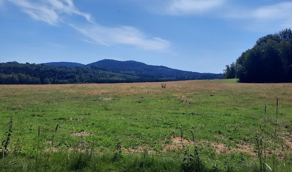 Prodej louky 12 444 m², Benešov nad Černou – náhled fotky 3