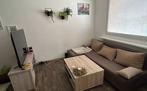 Pronájem bytu 1+1 38 m², Manětínská, Plzeň
