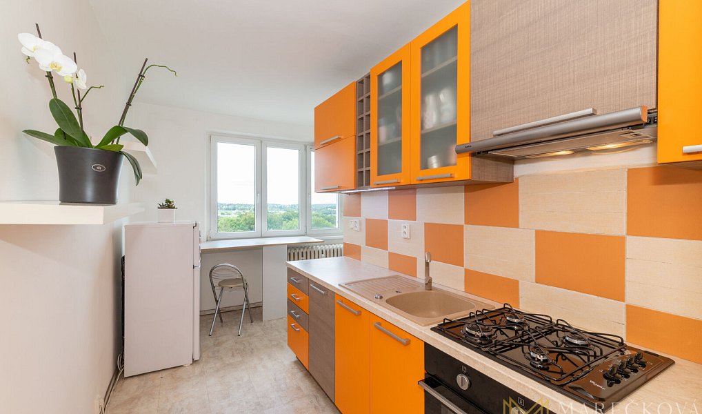 Prodej bytu 1+1 38 m², Plzeň – náhled fotky 2