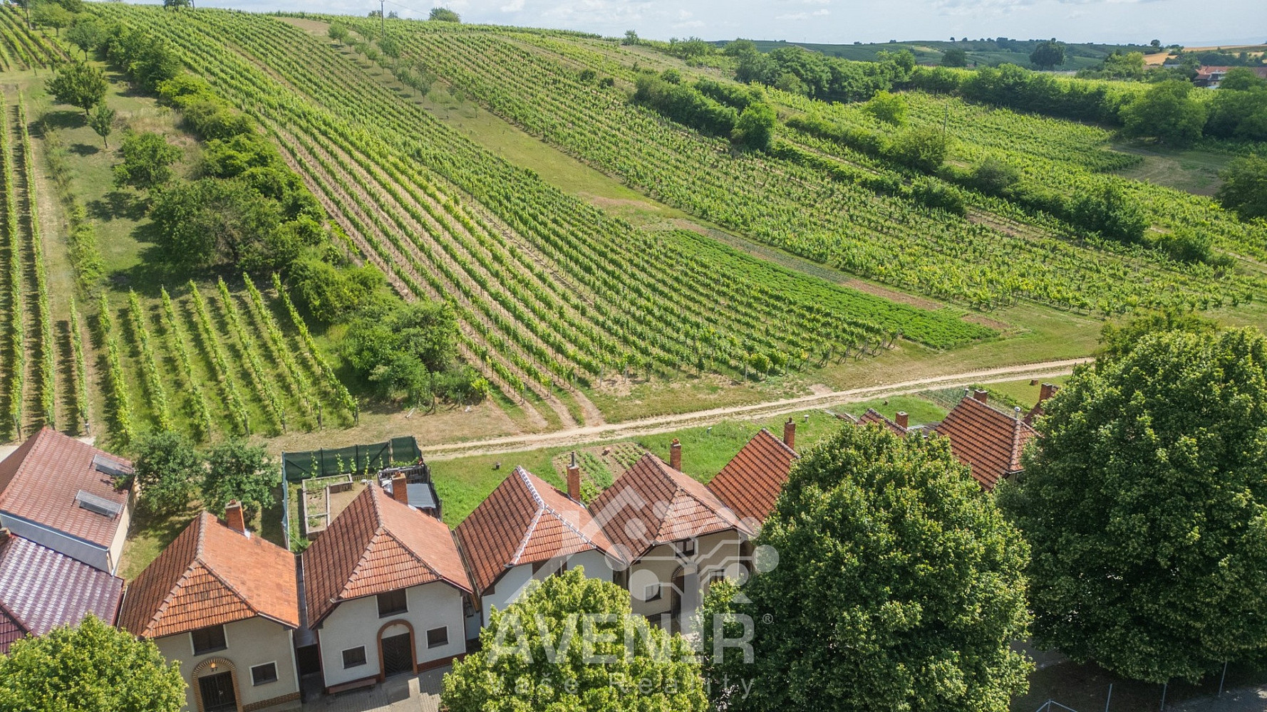 Prodej vinného sklepa 84 m2, čejkovice — photo 3