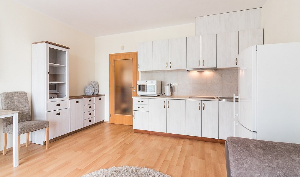 Pronájem bytu 1+kk 29 m², Praha – náhled fotky 9