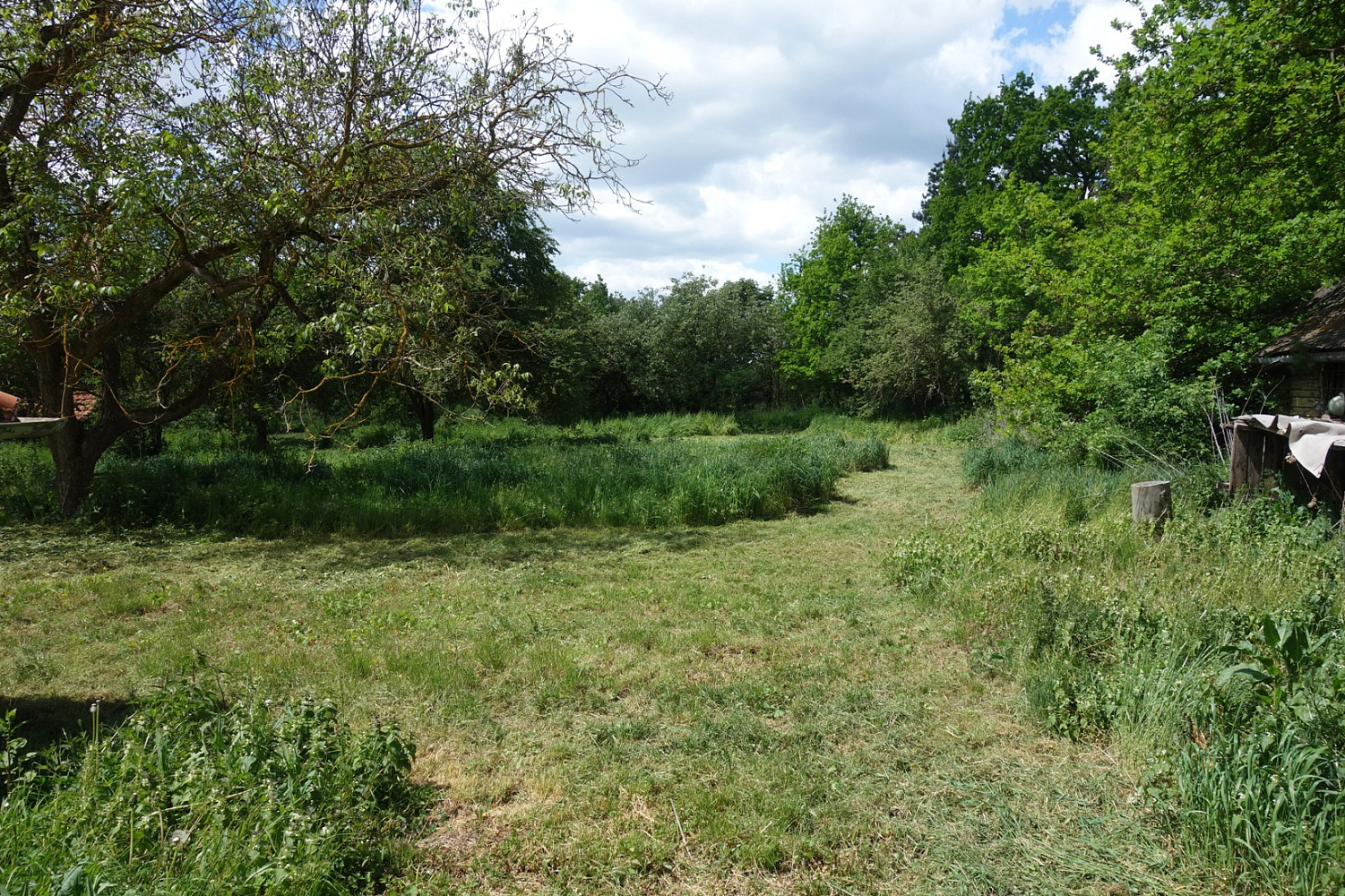 Prodej stavebního pozemku 3 236 m² – fotografie 4