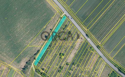 Prodej pozemku 1 293 m², Vlkoš, okres Hodonín