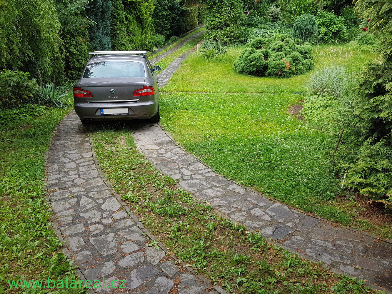 Pronájem zahrady 19 m² – fotografie 3