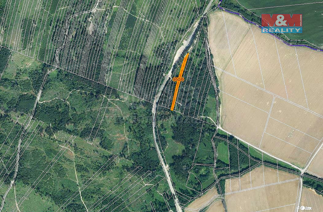 Prodej lesa 5 346 m² – pohled 4