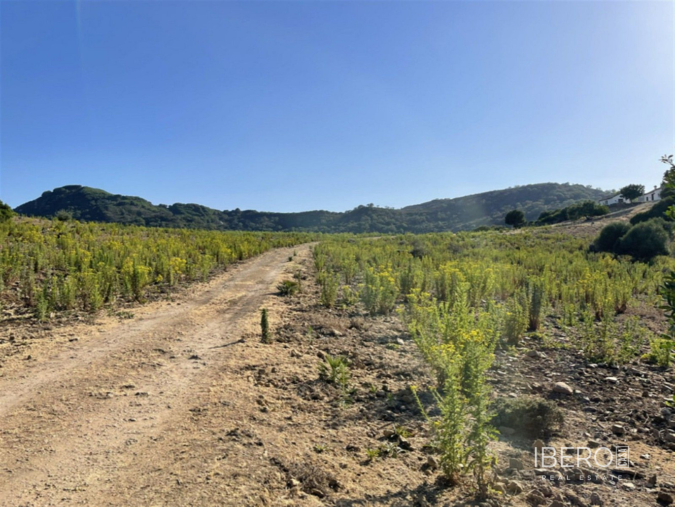 Casa 4+kk – Castellar Nuevo de la Frontera, La Almoraima - Vista 5