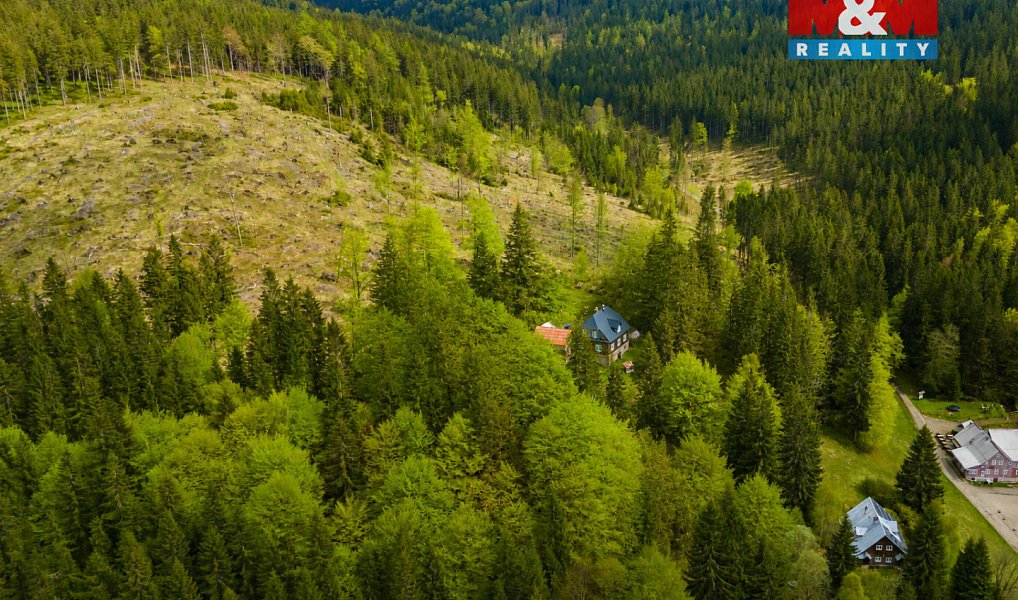 Prodej louky 8 167 m², Harrachov – náhled fotky 3