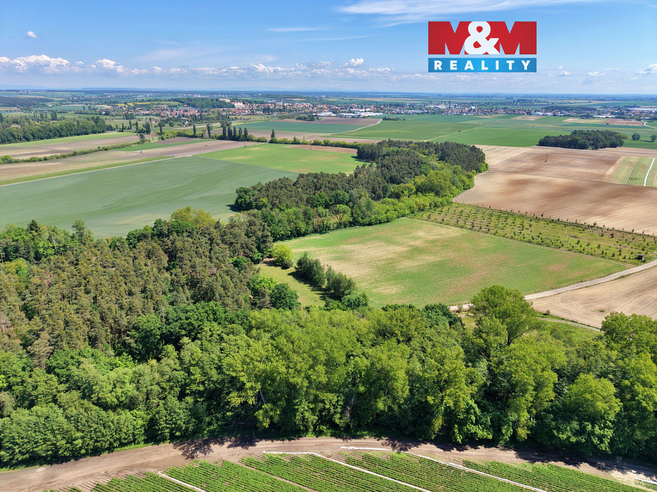 Prodej lesa 5 227 m²